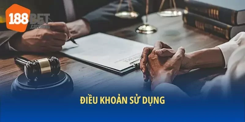 Điều khoản sử dụng là gì