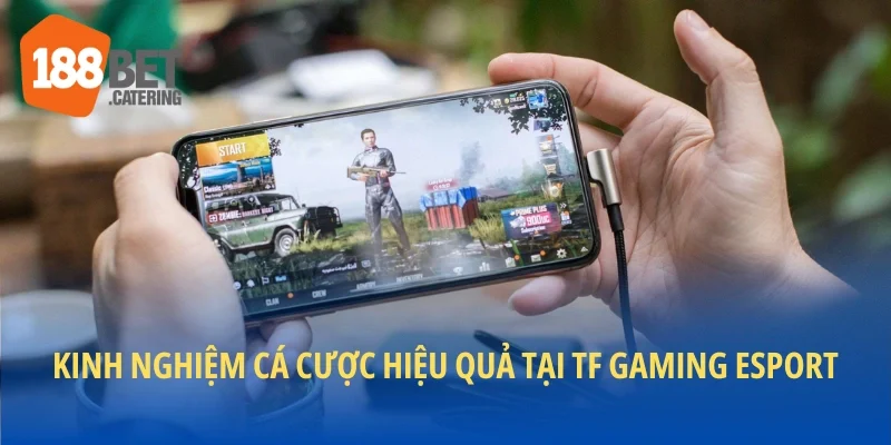 kèo hợp lý. Thay vì cược mù, bạn có thể quan sát phong độ hai đội để ra quyết định chuẩn xác hơn.Kinh nghiệm cá cược hiệu quả tại TF Gaming Esport