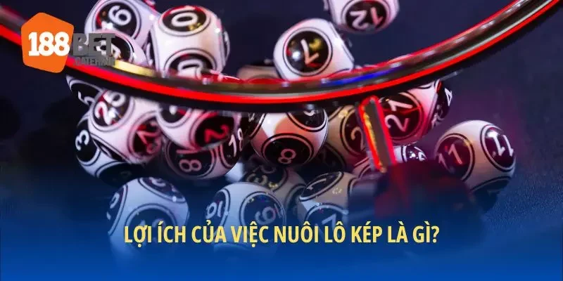 Lợi ích của việc nuôi lô kép là gì?