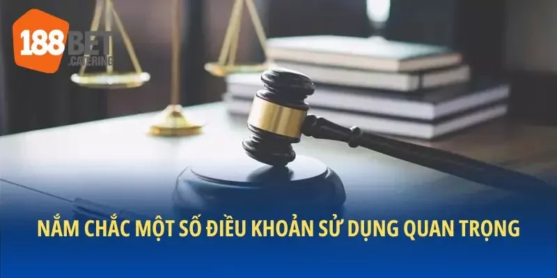 Nắm chắc một số điều khoản sử dụng quan trọng