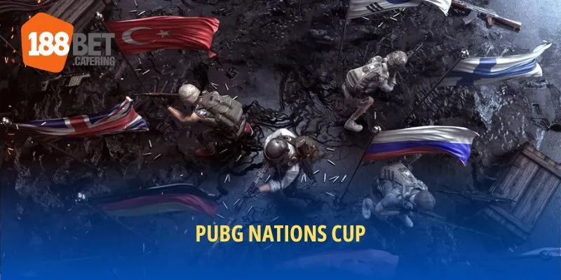 PUBG Nations Cup là gì