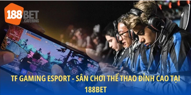 Chi tiếtTF Gaming Esport