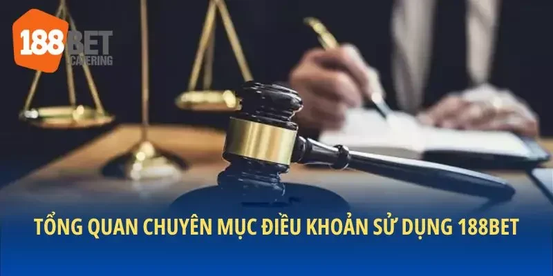 Tổng quan chuyên mục điều khoản sử dụng 188BET