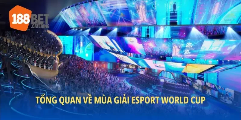 Tổng quan về mùa giải esport world cup