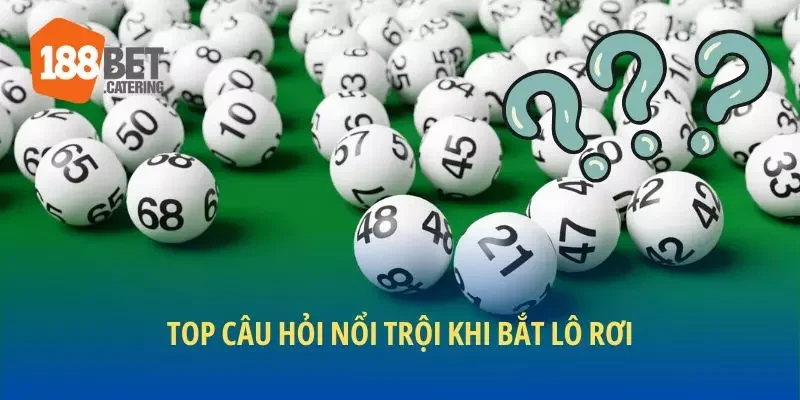 Top câu hỏi nổi trội khi bắt lô rơi