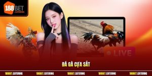 Đá gà cựa sắt