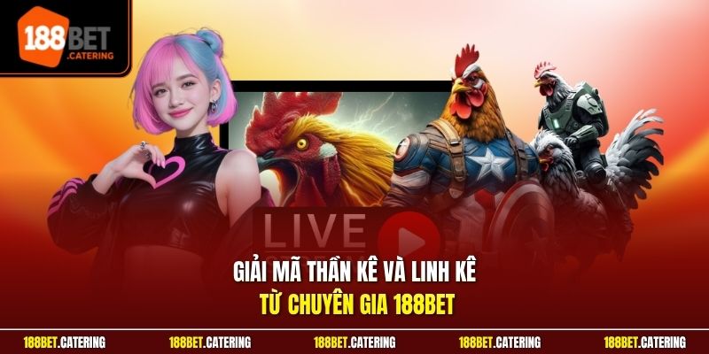 Giải mã thần kê và linh kê từ chuyên gia 188BET