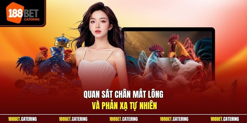Quan sát chân mắt lông và phản xạ tự nhiên