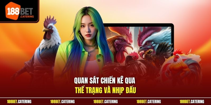Quan sát chiến kê qua thể trạng và nhịp đấu
